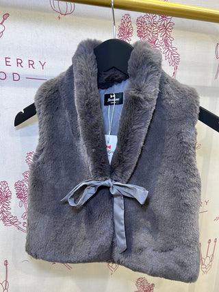Faux Fur Gilet with Collar