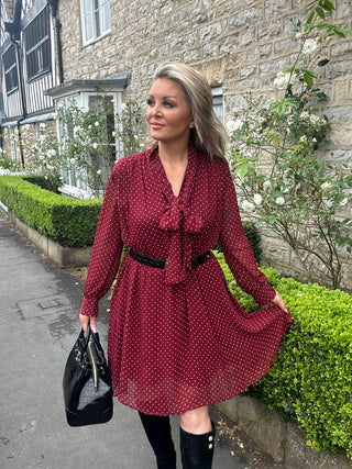 Dot Print Bow Dress in Plumped Red