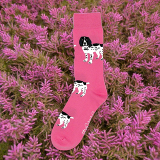 Spaniel Socks