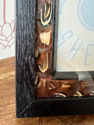Feather Glass Photo Frame