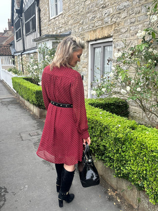 Dot Print Bow Dress in Plumped Red