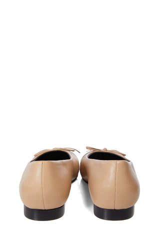 Ballet Shoe