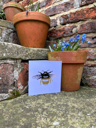 Lavender & Geranium Foil Bee Greeting Card
