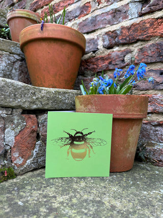 Bee Zesty Lime Blossom Greetings Card